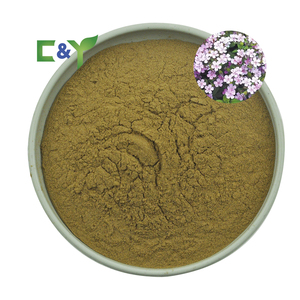 Suplemen Makanan Ekstrak <span class=keywords><strong>Soapwort</strong></span> Bubuk Ekstrak <span class=keywords><strong>Soapwort</strong></span> Bubuk <span class=keywords><strong>Soapwort</strong></span> - Product Image 1