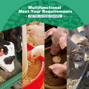 Yüksek Verimli Halka Kalıp Pelet Makinesi (Hayvan Yemi İçin) - Mısır ve Tahıllardan 5T/S Otomatik Üretim - Product Image 6