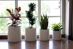 Jardinière ronde en fibre de verre blanche de conception moderne pour l'extérieur, avec emballage en carton, capacité de 8 L, trou de drainage et respectueuse de l'environnement - Product Image 2