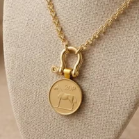 Collier en acier inoxydable avec pièce de monnaie cheval irlandais, plaqué or 18 carats, chaîne Rolo mate, pendentif, bijoux équestres étanches