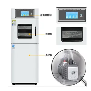 China Fabrikant Lage Prijs Verwarmingssysteem 60l120l Lage Temperatuur Laboratorium Vacuüm Droogoven