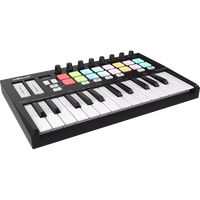 WORLDE Mini II Portable USB MIDI Keyboard Controller 25 Key Portable Musical Instrument Control ORCA MINI 25(MIDI Controller)