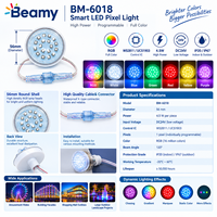 Éclairage extérieur programmable à LED RGB 24V 4,5W, point lumineux à pixels, WS2811 UCS1903, IP67, étanche, pour parc d'attractions, grande roue