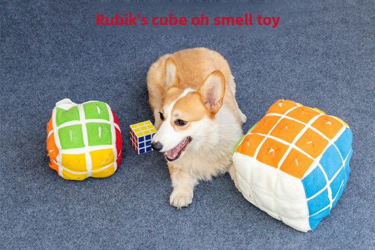 Couleurs arc-en-ciel