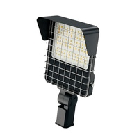 Projecteur LED 50W 100W 200W 300W IP66 Étanche ETL ROHS 0-10V Gradation AC100-277V 3000K Blanc Chaud pour Extérieur