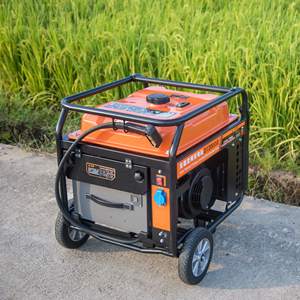 Máy phát điện biến tần đa chức năng D12000iE dành cho phụ kiện máy bay không người lái nông nghiệp DJI Agras T20P T30 T40 - Product Image 1