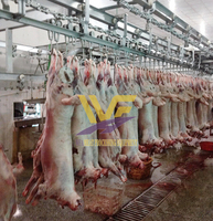 Abattoir de boucherie halal international Usine d'abattoir de chèvres Abattage complet
