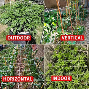 Malla de jardín Chengye, de poliéster blanco, para soporte de plantas trepadoras, para pepinos, tomates, guisantes, uvas y enredaderas. - Product Image 2