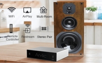 Module amplificateur domotique sans fil A50, récepteur de musique WiFi et BT, 2 pièces, sans fil, pour la maison