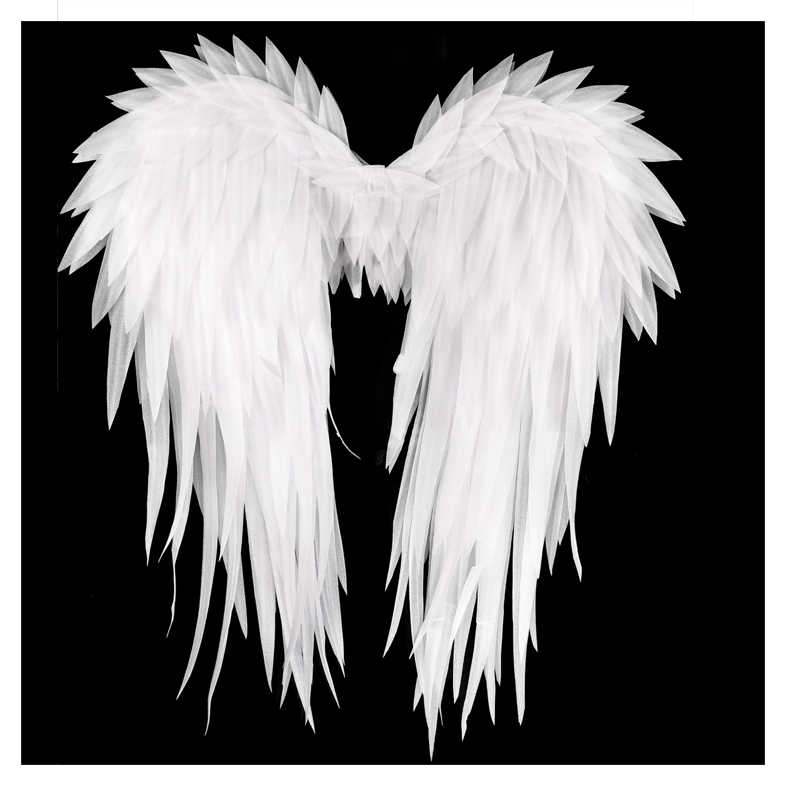 T1- Blanc