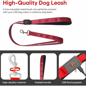 Guinzaglio per Cani e Gatti 2026 Premium Nuovo Design Personalizzato con Logo Lussuoso in Nylon Impermeabile con LED Illuminato - Product Image 3