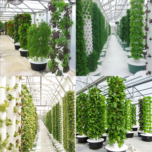 Sistema de Cultivo Hidropónico Vertical Económico y Grande con Luz LED, Cubierta de PVC/PE y Bomba Incluida para Vegetales de Hoja - Agricultura Vertical Fácil - Product Image 4