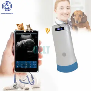 Innovative Wireless Probe Type Ultrasound Machine Farm Cows And Mares ultrasound veterinary convex probe