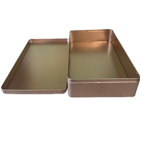 Boîte en fer blanc rectangulaire vide 300x200x60mm, boîte à biscuits carrée en fer, boîtes de rangement alimentaire en métal
