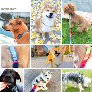 Collar de perro elegante sin Choke Martingale, fácil de usar, con relleno suave para cachorros de niños y niñas - Product Image 5