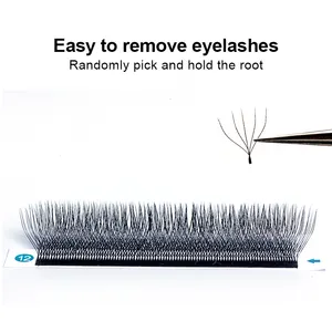 New Products 0.07 C D W-5D Shape Russian Volume Lashes Private Label Korean Eyelash Extension