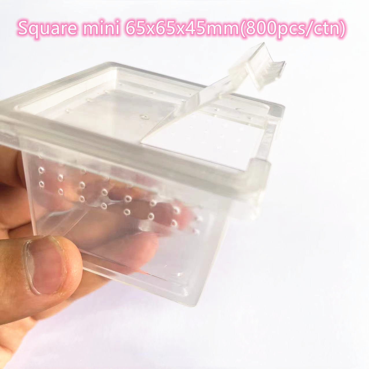 Transparent- Mini carré