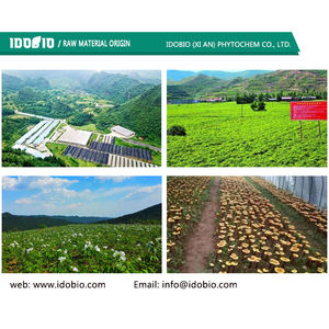 Hydroxy propyl Beta Cyclo dextrin Komplex Beta Ecdysteron Kapseln Bodybuilding - Product Image 6