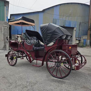 Carruaje Eléctrico Comercial sin Caballos para 4 Pasajeros, Carro Clásico para Turismo, Alquiler para Eventos, Bodas y Resorts - Product Image 4