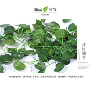 Plante artificielle suspendue Xinchengzhi Pothos 30cm-100cm, vigne murale décorative en soie verte pour décoration de mariage - Product Image 3