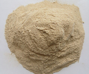 Polvo de proteína de arroz de malla 300 marrón orgánico Natural de grado alimenticio de fábrica de China para fábrica de piensos agrícolas - Product Image 4