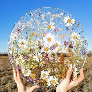 YS 12 pièces/sac séché vraies fleurs naturelles conservées pour bijoux en résine pressé aromathérapie Marguerite De <span class=keywords><strong>Valois</strong></span> plante carte bricolage Art - Product Image 2