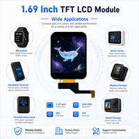Módulo LCD TFT Personalizado de 1.69 Pulgadas, 240x280, Interfaz SPI, Controlador IC ST7789 para Dispositivos Portátiles y Uso Industrial