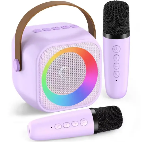 High Power Portable Bluetooth Speaker Home Karaoke 360 Stereo Surround Wireless Subwoofer Dual Microphone Boombox USB