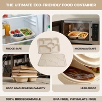 Assiette compartimentée biodégradable en amidon de maïs, étanche, compatible micro-ondes, compostable, avec couvercle, pour plats à emporter