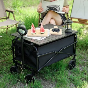 Chariot de camping réglable avec ouverture arrière, fonctionnalité push-pull, cadre métallique pliable, mobilier d'extérieur pour enfants - Product Image 4