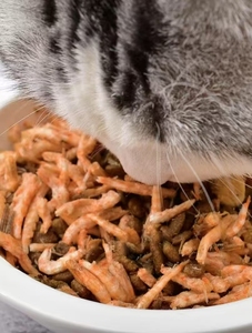 Evcil hayvanlar için en çok satan dondurularak kurutulmuş <span class=keywords><strong>Krill</strong></span> davranır fabrika toptan doğrudan üst Pet gıda maddeleri - Product Image 4