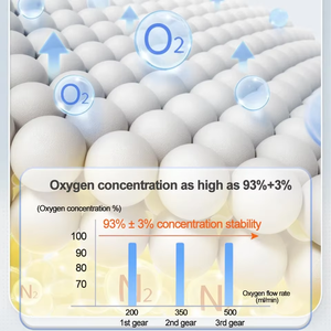 제임드 퀵트 휴대용 2등급 산소발생기 93% 순도-10단계 여과 CE 인증 1년 보증 가정 및 여행용 - Product Image 5