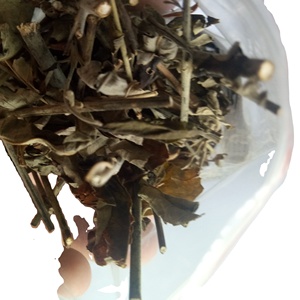 Justicia Gendarussa, Hierba de Hojas de Sauce, Plantas Herbales <span class=keywords><strong>Secas</strong></span>, Cortes de Justicia Gendarussa en Venta - Product Image 2