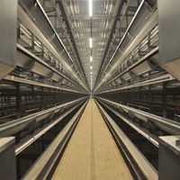 Cage à volailles en acier galvanisé pour poules pondeuses, solution d'élevage de type H avec une longue durée de vie et une garantie de 1,5 an