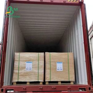 Papier spécial blanc double face <span class=keywords><strong>enduit</strong></span> <span class=keywords><strong>de</strong></span> kaolin, imperméable et indéchirable, 120 g/m² 216 g/m², pour impression offset et utilisation cartographique - Product Image 3