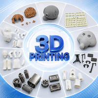 Quantité minimale de commande : 1 |   Service d'impression 3D personnalisé en SLA, SLM, MJF, SLS, FDM, métal et plastique, prototypage rapide haute performance
