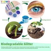 Échantillon gratuit vente en gros de poudre pailletée biodégradable en vrac poudre pailletée pour les yeux maquillage des yeux ongles visage et corps