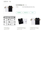 T-shirt en jersey 100 % coton de haute qualité, coupe classique, pour hommes, vente en gros, poids lourd, luxe, 300 GSM, streetwear, respirant - Product Image 2