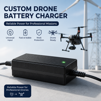 Chargeur de batterie Li-ion 25,2 V 8 A 200 W, adaptateur secteur CC pour drone électrique, robot tondeuse, aspirateur CE UL KC SAA