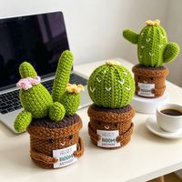 Tanaman Kaktus 3D Rajutan Tangan dari Katun dengan Kartu, Dekorasi & Hadiah Pernikahan