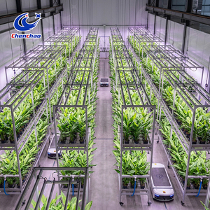 Commercial Grade Automated Ebb and Flow System with Vertical Multi-layer Design for Large Scale Greenhouse System <strong>Plan</strong> <strong>Pro</strong> - Product Image 5