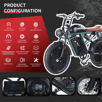 Bicicleta Eléctrica con Batería Extraíble de Fábrica China, Bicicleta Eléctrica Barata para Adultos con Llantas Anchas, Motocicleta Eléctrica