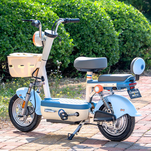 Bicicletta Elettrica Compatta da 26 Pollici, Batteria al Litio 48V20H, Telaio in Lega di Alluminio, Freno a Disco - Product Image 5