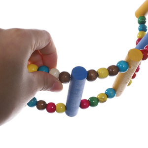 Papağan merdivenler tırmanma oyuncak asılı papağan Hamster salıncak renkli topları ahşap papağan oyuncaklar kuş kafesi egzersiz Pet kuş malzemeleri - Product Image 4