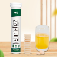 Complément alimentaire naturel à base de plantes en gros sous marque privée – Brûleur de graisse nutritionnel en comprimés pour la perte de poids