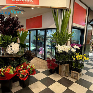 Vitrine Réfrigérée Personnalisée avec Porte Vitrée pour Fleuriste – Chambre Froide pour Maintien au Frais des Fleurs - Product Image 3