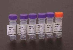 Mesin sistem Hemostasis Harga Murah MSLTL01 - Product Image 6