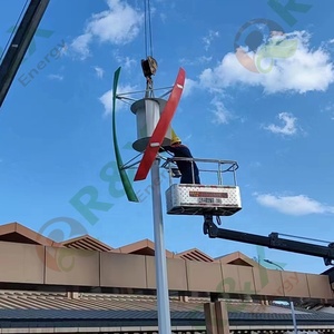 Éolienne à axe vertical RX-600X de 600W-2000W, sortie 12V/24V, diamètre de rotor personnalisé, fabriquée en Chine, à vendre - Product Image 5