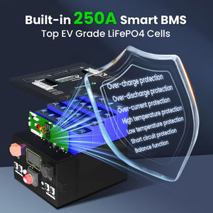 High Quality Lithium <strong>Battery</strong> 12v 24v <strong>48v</strong> 100ah 200ah 230ah 320ah BMS <strong>LifePO4</strong> RV Camping <strong>Battery</strong> Eco-friendly - Product Image 5