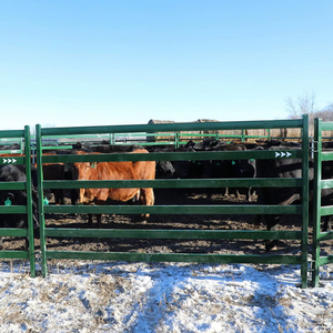 Cao cấp 6 đường sắt chăn nuôi gia súc tấm hàng rào ngựa cừu stockyard corral Bảng điều chỉnh sân hàng rào lưới mắt cáo cửa - Product Image 1